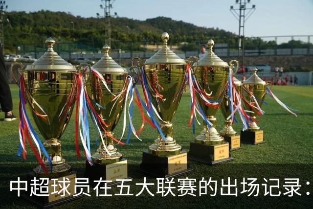 中超球员在五大联赛的出场记录：仅九人超过20次